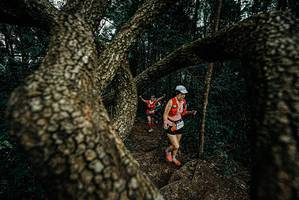 BIB: 
                            <button type="button" onclick="openModal(25700019)" class="btn btn-primary btn-sm float-right btn-popup" data-toggle="modal" data-target=".modal-high-quality">
                        <i class="fas fa-shopping-cart"></i> Add to Cart
                    </button>
                                            <button type="button" onclick="isThisMe(25700019, true)" class="btn btn-success btn-sm float-right btn-popup btn-isme hidden" data-toggle="tooltip" data-placement="bottom" title="นี่คือรูปของคุณใช่ไหม คลิกที่นี่เพื่อเอาเข้าอัลบั้ม">
                        <i class="fas fa-plus"></i> Add to album
                    </button>
                    <button type="button" onclick="isThisMe(25700019, false)" class="btn btn-warning btn-sm float-right btn-popup btn-isnotme hidden">
                        <i class="fas fa-ban"></i> Remove from album
                    </button>